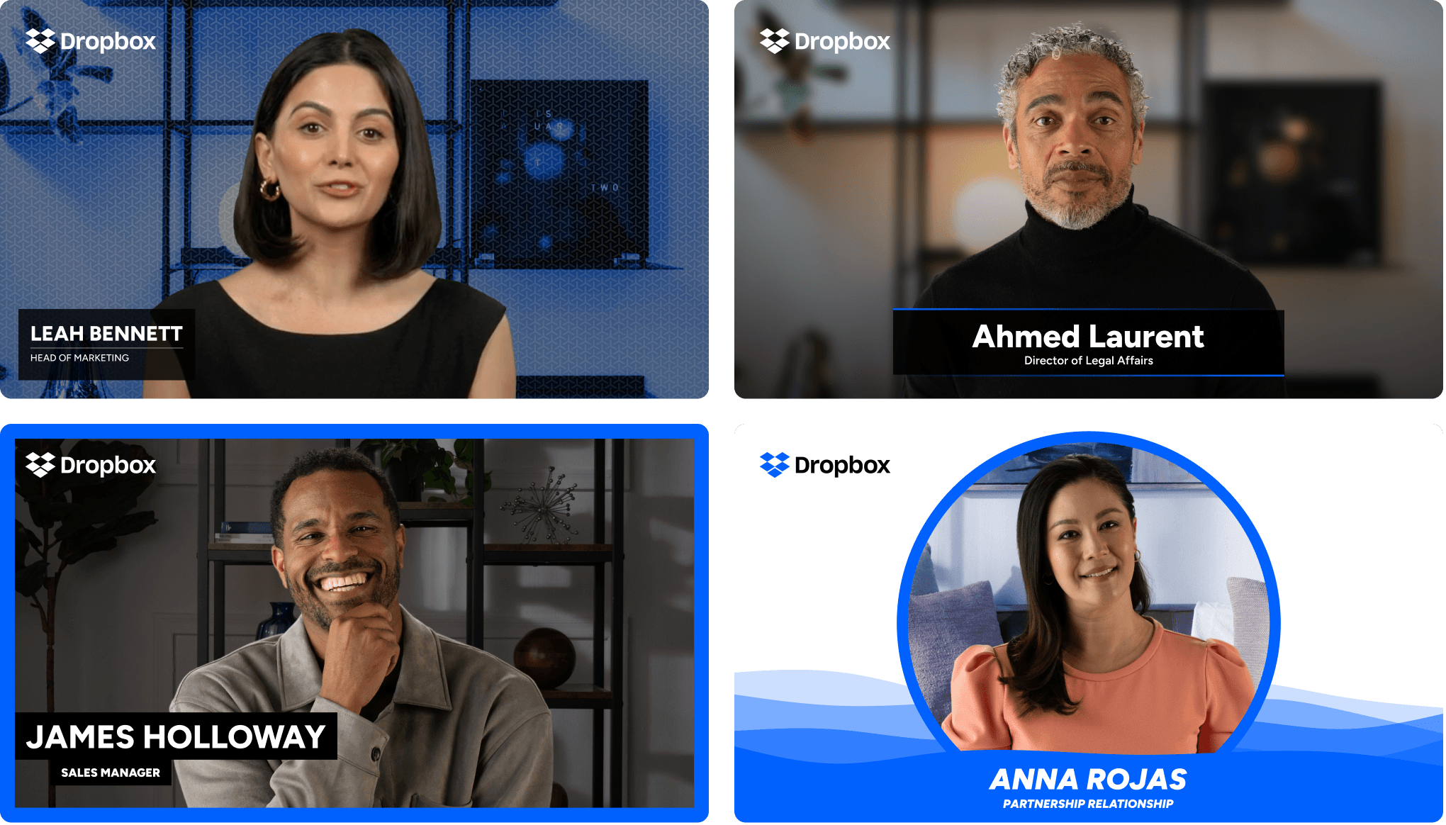 Display looks for Dropbox