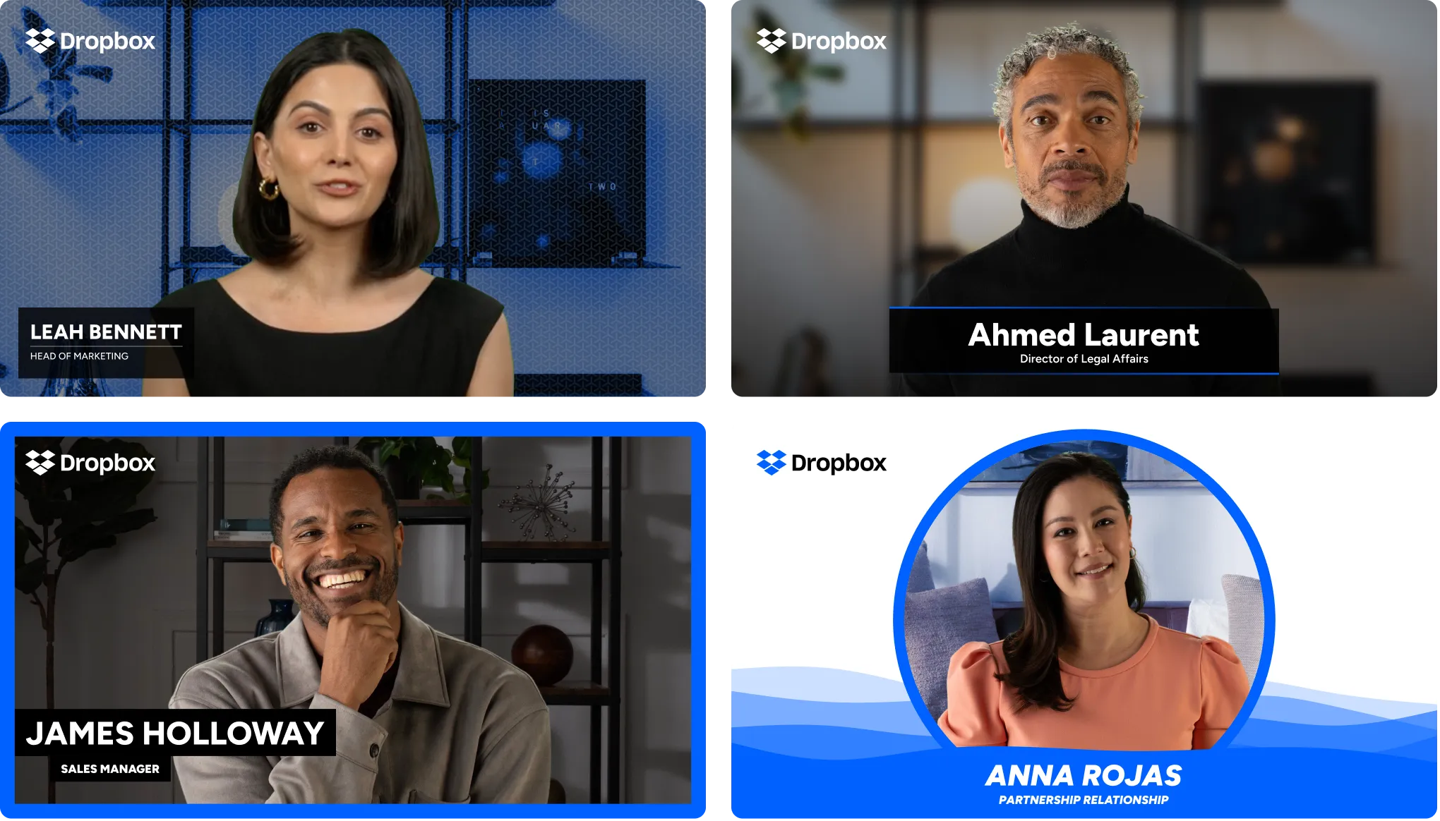 Display looks for Dropbox